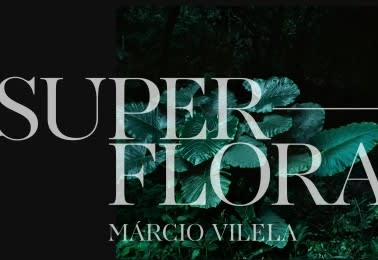 Tivoli Avenida Liberdade apresenta Exposição de Fotografia de Márcio Vilela