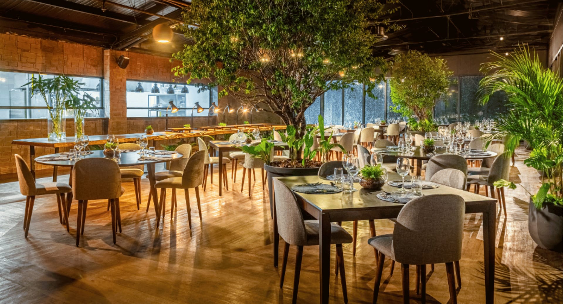 Must Restaurant Belém 